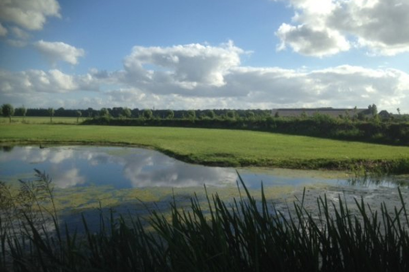 Lees meer over Nieuw: kamperen aan het water!